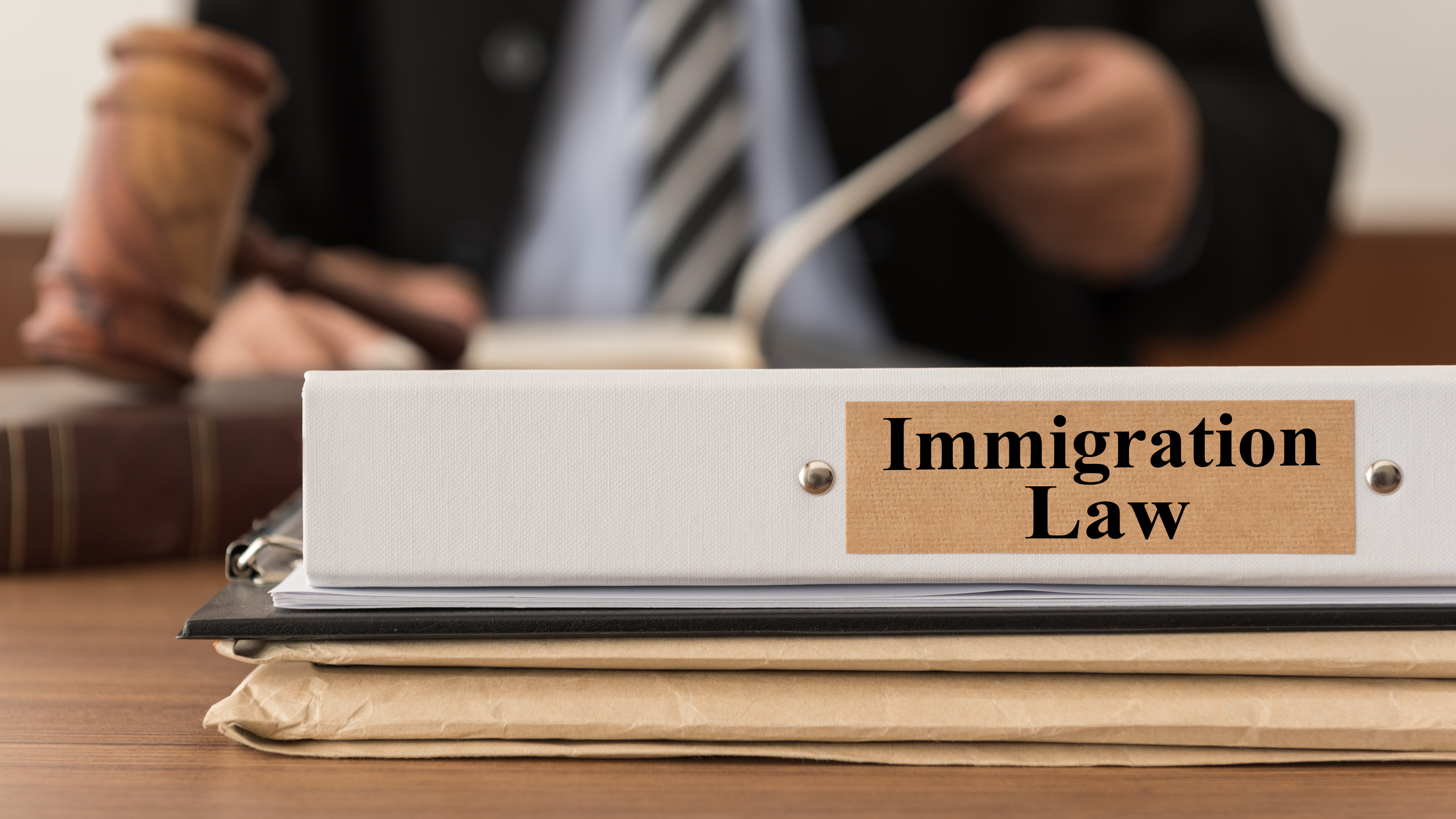 What You Need to Know about Immigration Lawyers