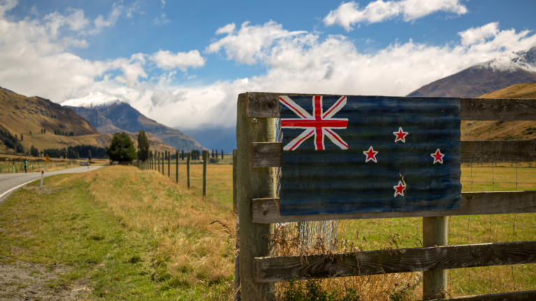 A Comprehensive Guide on How to Become a Foreign Nurse in New Zealand